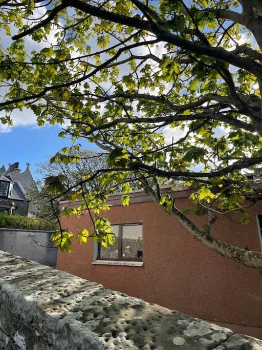 Cosy Cottage In Kveldrso Gardens Lerwick Exterior photo